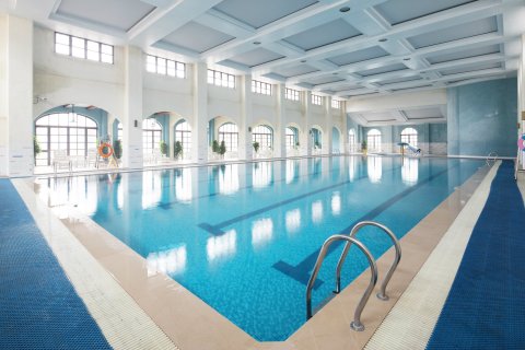 Pool industry — from Ace’s original website